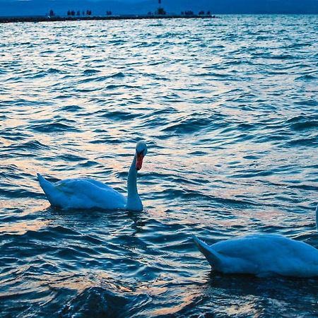 White Apartman Siófok Zewnętrze zdjęcie